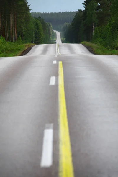 Immagine Colori Una Strada Solitaria Attraverso Una Foresta — Foto Stock