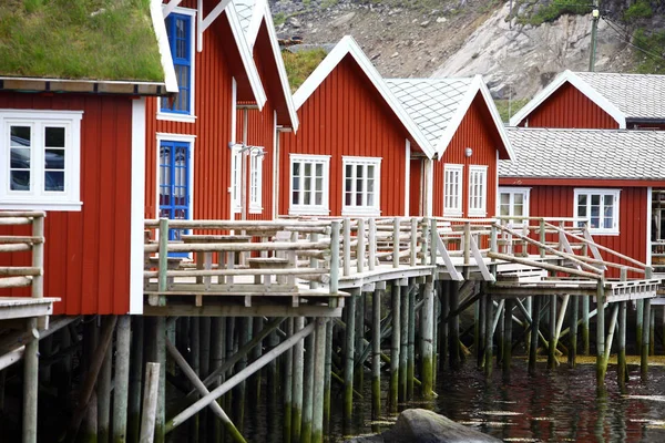 Lofoten Natuur Landschap Achtergrond — Stockfoto