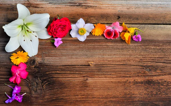 Blumen Auf Holz Hintergrund — Stockfoto