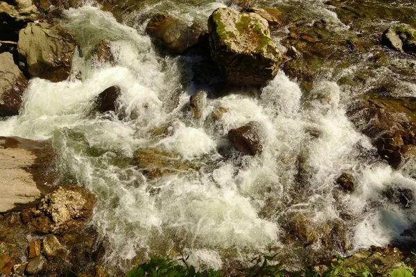 Klares Bergwasser Den Alpen — Stockfoto