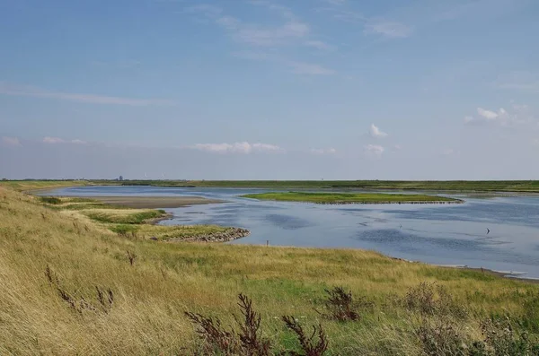 Nationaal Park Oosterschelde Moriaanshoofd Schouwen Duiveland Zuidelijk Nederland — Stockfoto