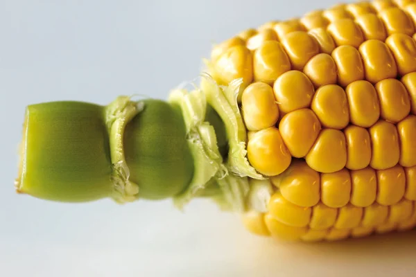 Corn Cob — Stock Photo, Image