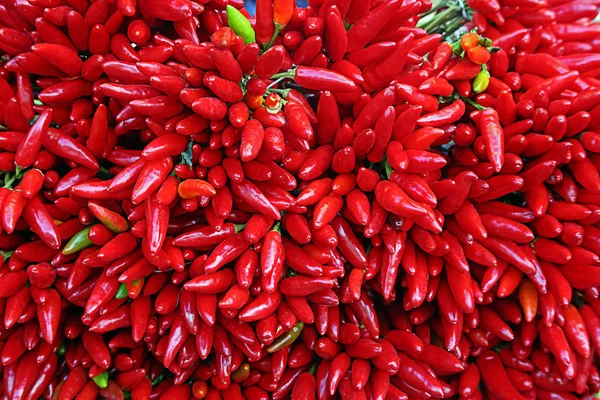 Red Chilies Peppers Farm Market — Stock Photo, Image