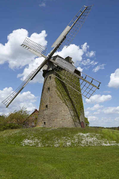 Väderkvarnen Seelenfeld Petershagen Tyskland Holländsk Typ Väderkvarn Och Ingår Westfalen — Stockfoto