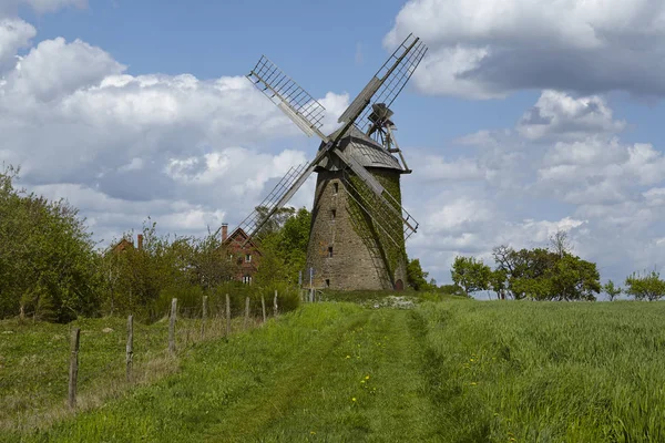 風車Seelenfeld ドイツ ピータースハーゲン はオランダの風車で Westphalia Mill Street Westfaelische Muehlenstrasse の一部です — ストック写真