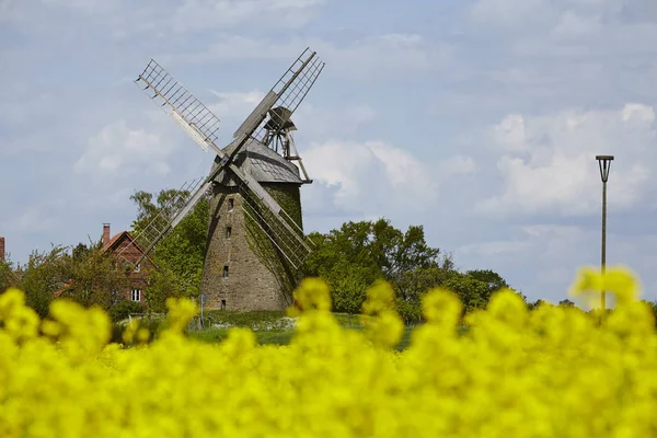 Windmill Seelenfeld Petershagen Germany Dutch Type Windmill Part Westphalia Mill — kuvapankkivalokuva