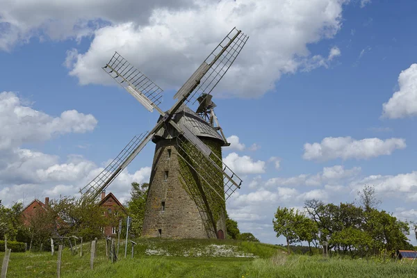 Seelenfeld Szélmalom Petershagen Németország Holland Típusú Szélmalom Amely Westfaelische Muehlenstrasse — Stock Fotó