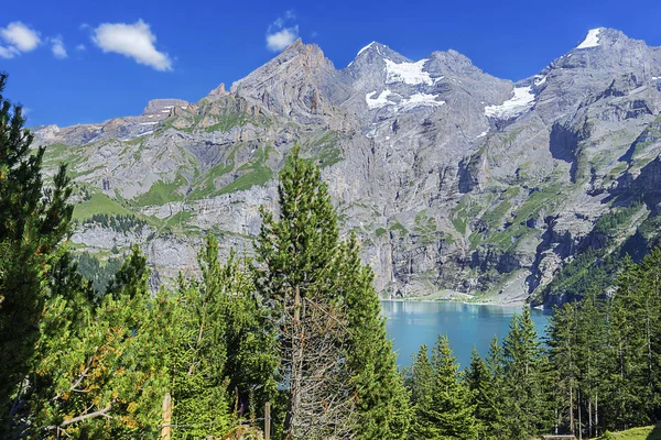 Oeschinensee Floresta Montanha — Fotografia de Stock