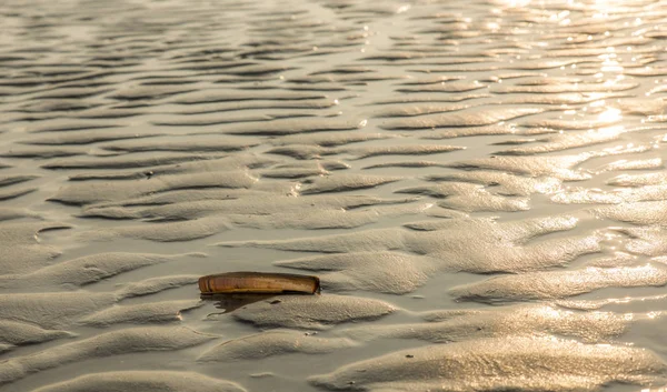 Conchas Praia — Fotografia de Stock