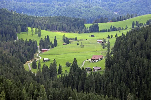 Prairie Montagne Dans Sud Tyrol Eggental — Photo