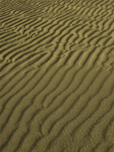 Хвилясті Лінії Пляжі — стокове фото