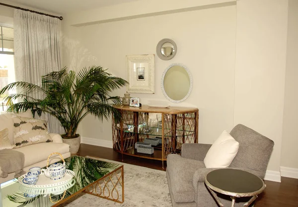 Lovely Living Room New House Table Chairs Big Palm Furnished — 스톡 사진