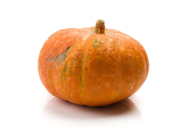 Calabaza Aislada Sobre Fondo Blanco — Foto de Stock