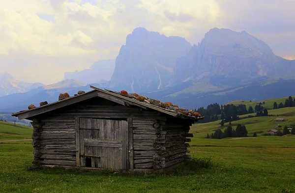 Schuur Seiser Alm Voor Langkofel Sasso Lungo Sasso Piatto Plattkofel — Stockfoto