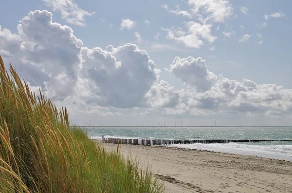 Beach Westenschouwen Schouwen Duiveland Southern Netherlands — стоковое фото