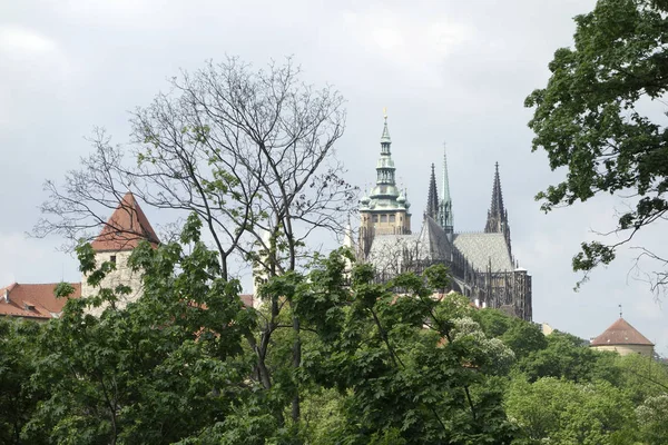 Catedral São Vito Praga — Fotografia de Stock