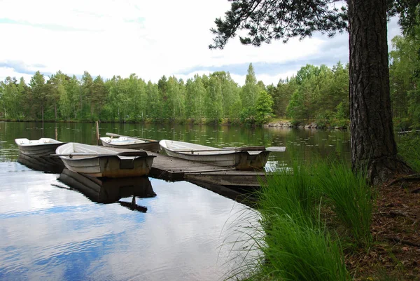 Blick Mit Festgemachten Ruderbooten Auf Eine Ruhige Bucht Schwedischen Wald — Stockfoto