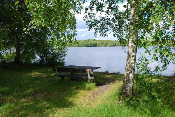 Träbänk Och Bord Vid Havet Grön Miljö — Stockfoto