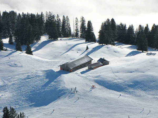 Skiing Wilden Kaiser — Stock Photo, Image