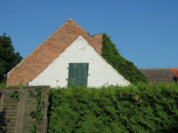 Huis Muur Achter Cipres Heg — Stockfoto