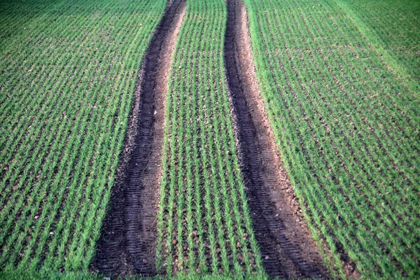 Agricultura Campo Terra Agrícola — Fotografia de Stock