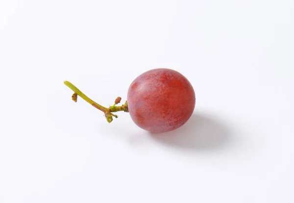 Czerwone Winogrona Białym Tle — Zdjęcie stockowe