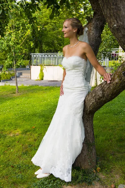 Visão Panorâmica Conceito Casamento — Fotografia de Stock