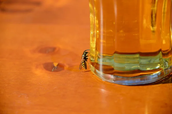 Western Bees Bavaria — Stock Photo, Image