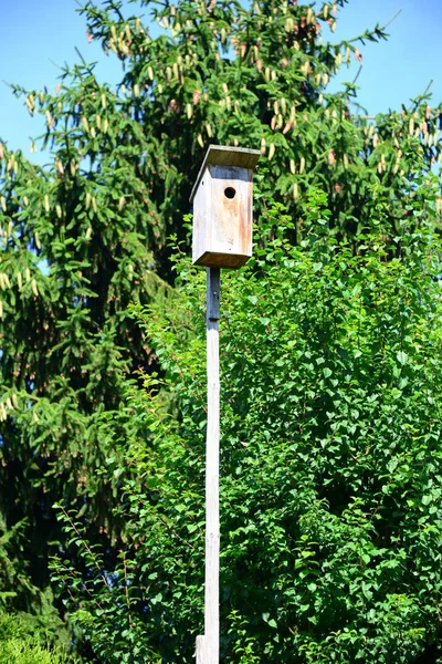 Oud Houten Vogelhuisje Het Park — Stockfoto