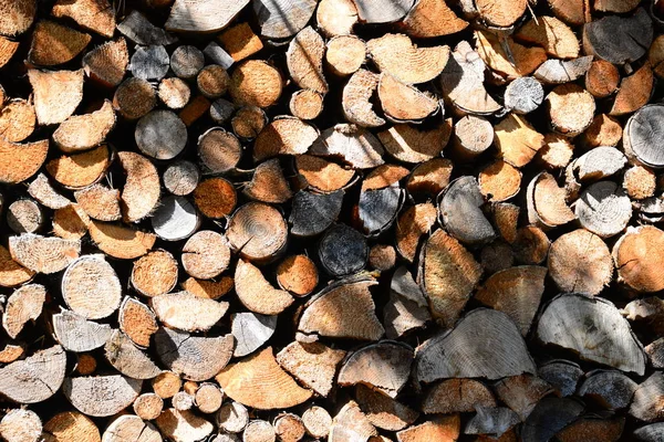 Kesilmiş Odun Ahşap Malzeme — Stok fotoğraf