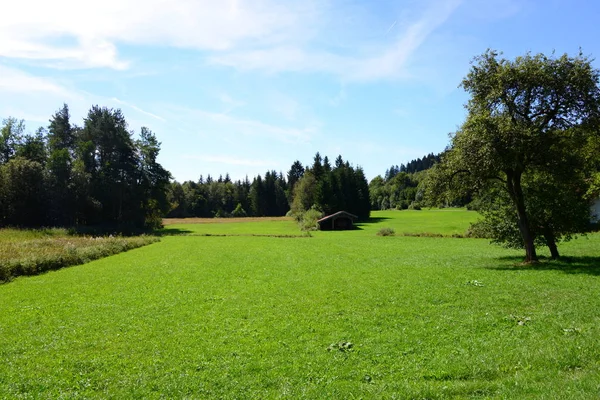 ドイツのババリアにある緑の牧草地 — ストック写真