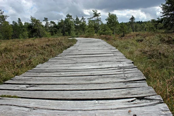 Prachtig Uitzicht Het Natuurlandschap — Stockfoto