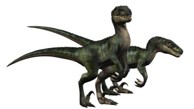 velociraptor dinosaur - isolated on white background clipart