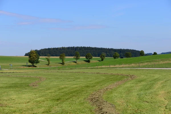 Saftig Grüne Wiesen Bayern Deutschland — Stockfoto