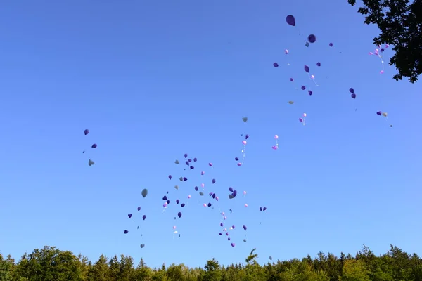 Bandada Aves Volando Cielo — Foto de Stock