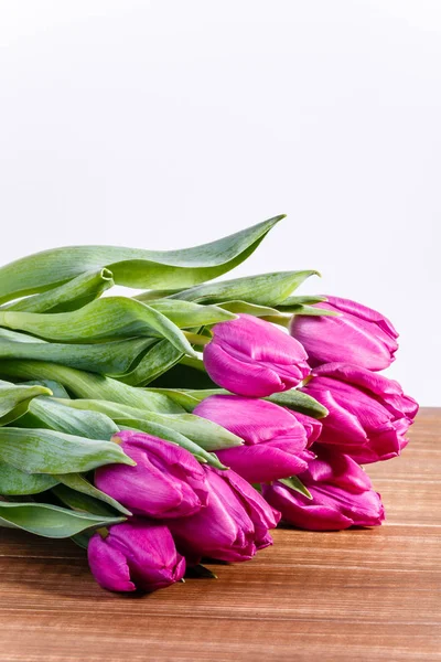 Vakker Utsikt Naturlige Tulipanblomster – stockfoto