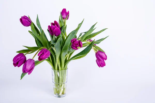 Blühende Frühlingstulpen Blumen — Stockfoto
