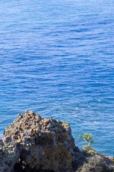 Вид Атлантический Океан Заповеднике Рамбла Кастро Стороны Лос Реалехос Тенерифе — стоковое фото