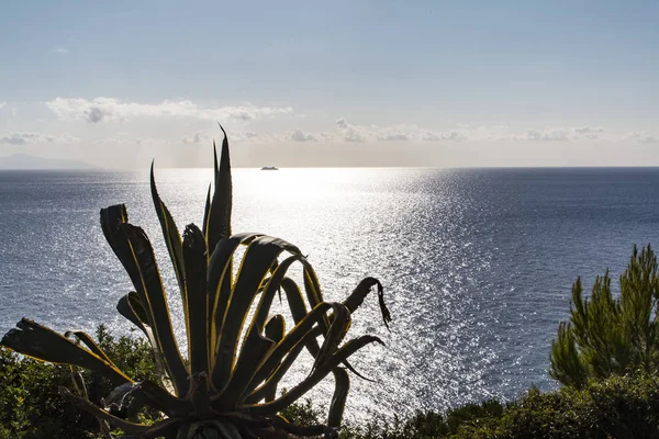 Blick Auf Die Bucht Der Insel Teneriffa — Stockfoto