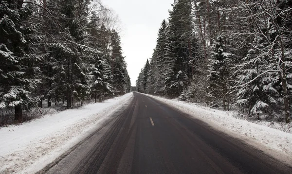 Carretera Asfaltada Bosque Durante Período Invierno — Foto de Stock