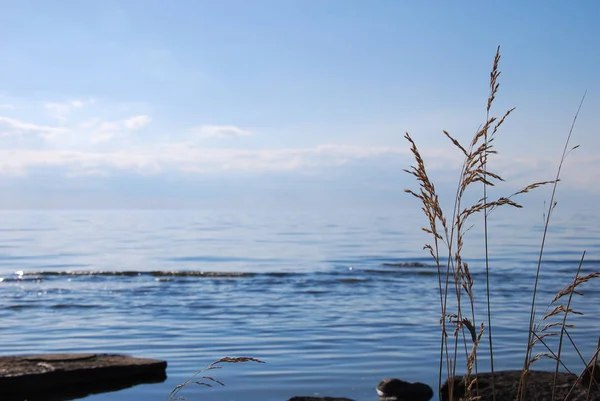 Соломинки Узбережжі Яскравим Спокоєм Блискучою Водою — стокове фото