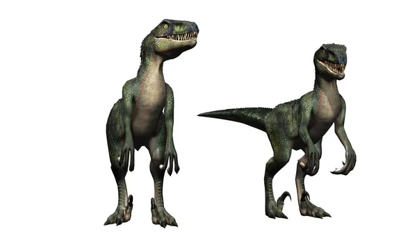 Dinosaurio Velociraptor Aislado Sobre Fondo Blanco —  Fotos de Stock