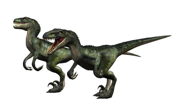 Velociraptor Δεινόσαυρος Απομονώνονται Λευκό Φόντο — Φωτογραφία Αρχείου