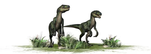 Nvelociraptor Dinozaur Izolowany Białym Tle — Zdjęcie stockowe
