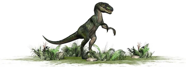 Nvelociraptor Dinosaurier Isoliert Auf Weißem Hintergrund — Stockfoto