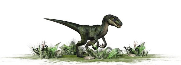 Nvelociraptor Dinosaurus Izolované Bílém Pozadí — Stock fotografie