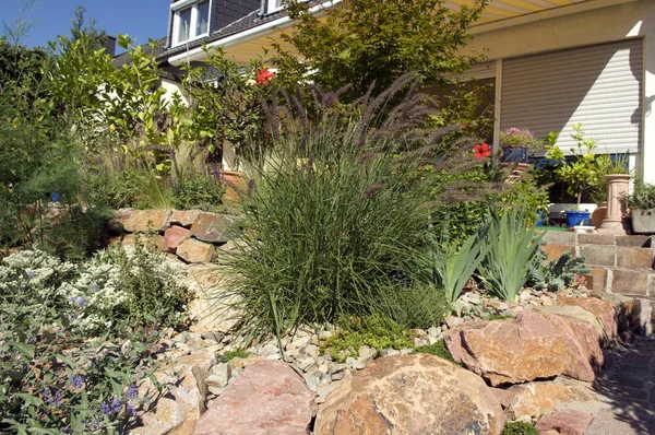 Hermoso Jardín Con Flores Plantas — Foto de Stock