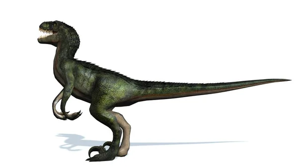 Velociraptor Dinozoru Beyaz Arkaplanda Izole Edilmiş — Stok fotoğraf