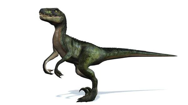 Dinosauro Velociraptor Isolato Sfondo Bianco — Foto Stock