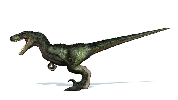 Velociraptor Dinozoru Beyaz Arkaplanda Izole Edilmiş — Stok fotoğraf